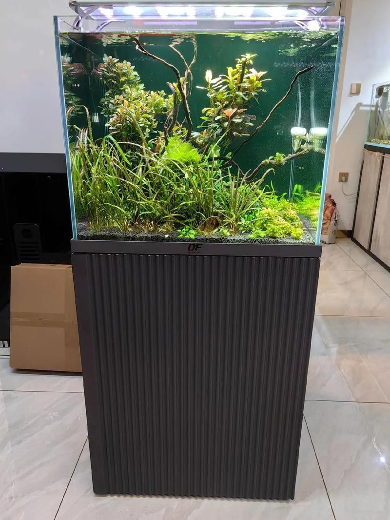 仟湖魚缸什么檔次，仟湖魚有愛悅己系列超大型落地龍魚缸品牌排名好物推薦