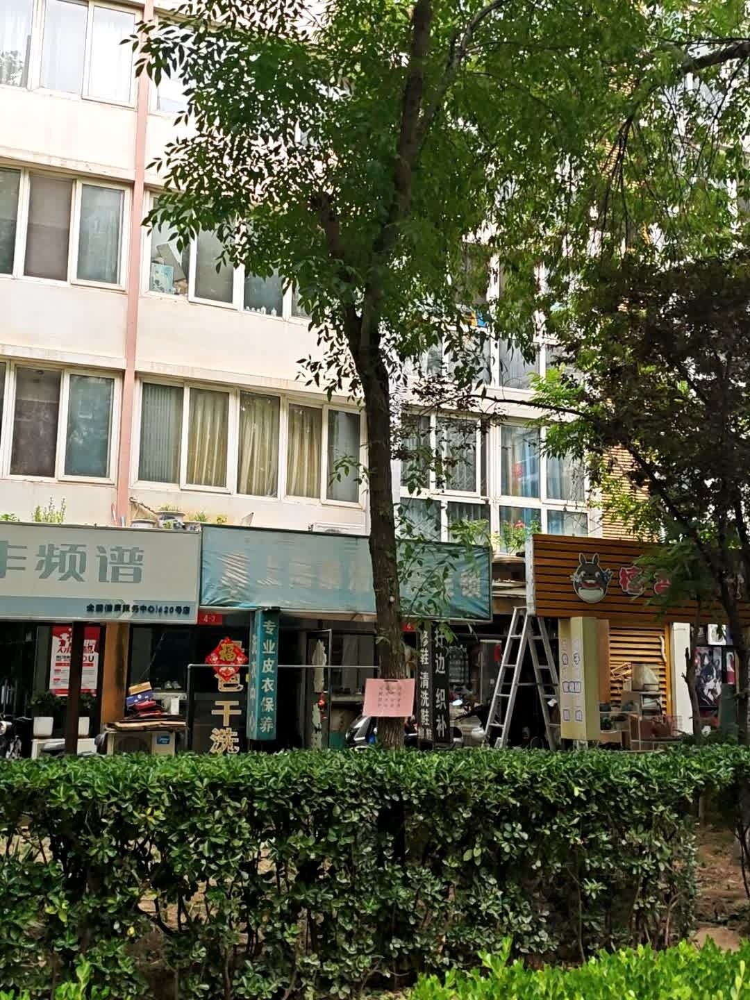 龍貓寵物醫(yī)院提供在線咨詢服務(wù)，北京龍貓寵物醫(yī)院在線咨詢
