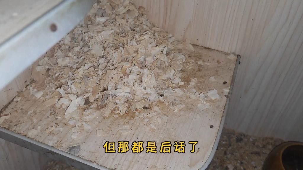 龍貓寵物醫(yī)院提供在線咨詢服務(wù)，北京龍貓寵物醫(yī)院在線咨詢