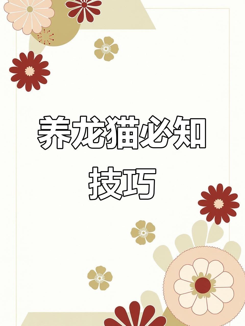 龍貓寵物醫(yī)院提供在線咨詢服務(wù)，北京龍貓寵物醫(yī)院在線咨詢