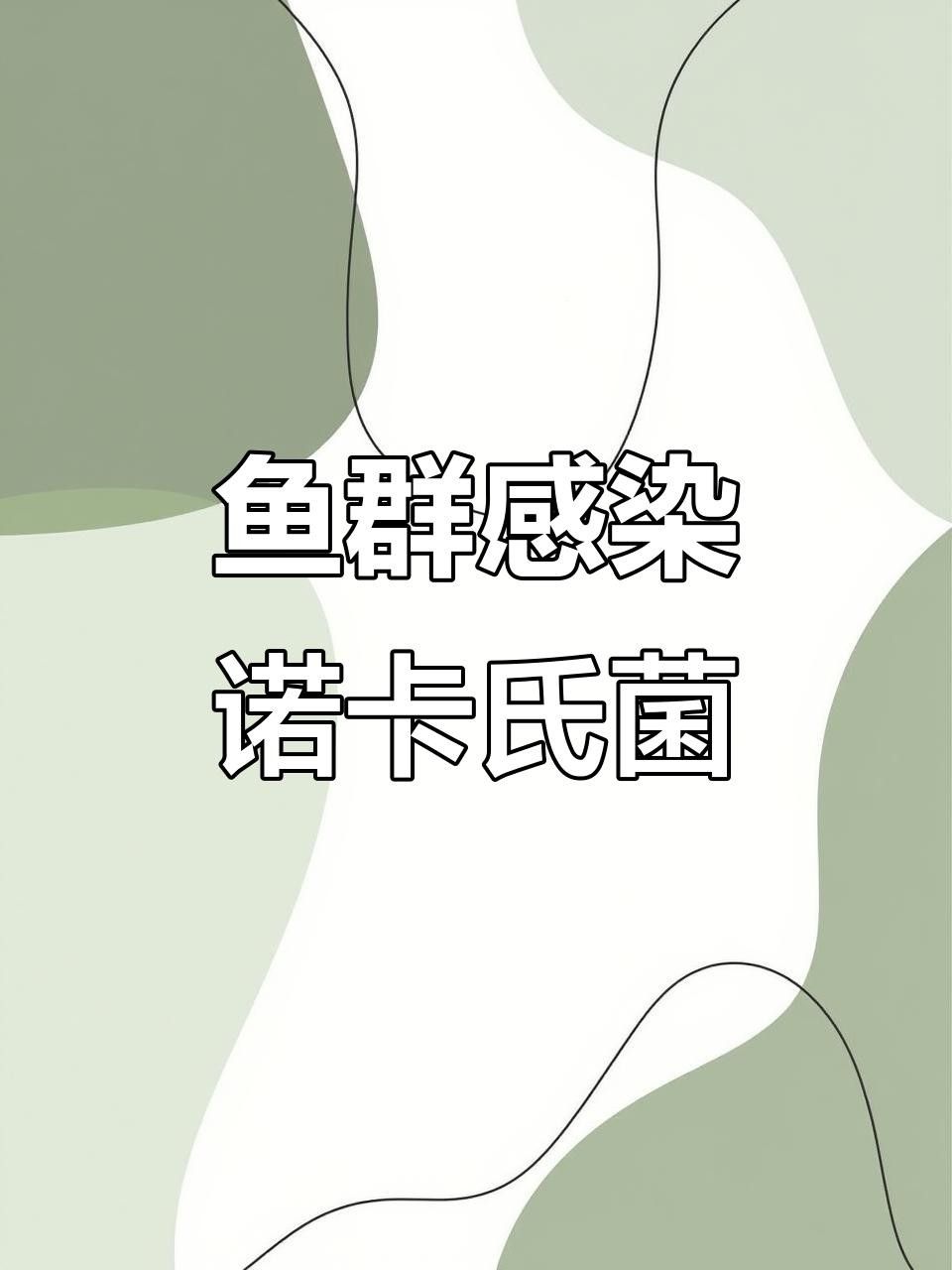 大日玉鯖魚的特定疾病與治療方法:大蒜水輕松應對，關于大日玉鯖魚疾病的一些建議