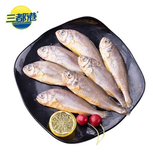 魚類十大品牌排行榜前十名那天魚類什么牌子好，魚類十大品牌排行榜