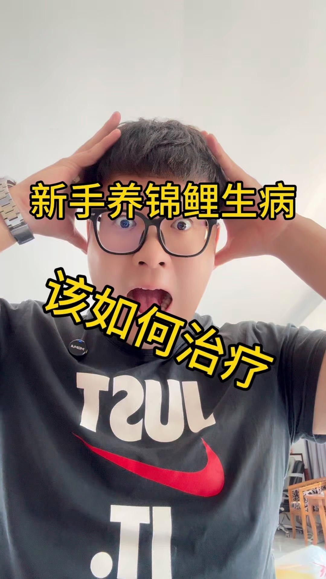 錦鯉生病癥狀與治療方法，錦鯉常見(jiàn)病治療方法全解析