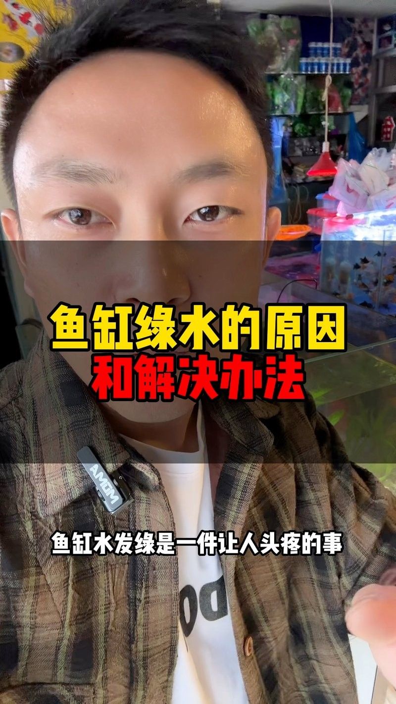 魚缸綠水如何處理嗶哩嗶哩魚缸綠水怎么辦，嗶哩嗶哩魚缸綠水怎么辦