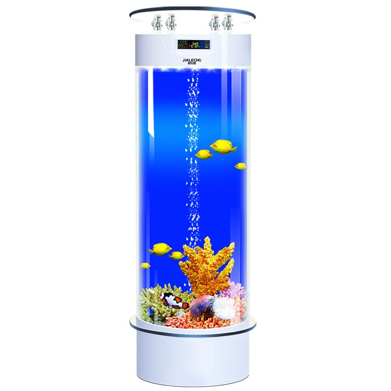 金龍魚怎么發色，怎么發色好看圖片，金龍魚怎么發色