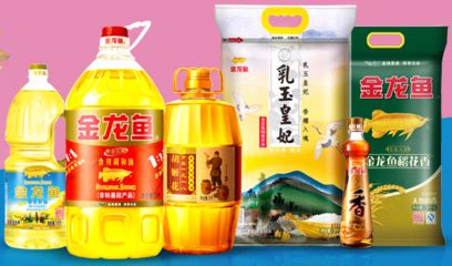 大型龍魚缸效果圖大全圖片，龍魚的飼養(yǎng)方法，大型龍魚缸效果圖大全