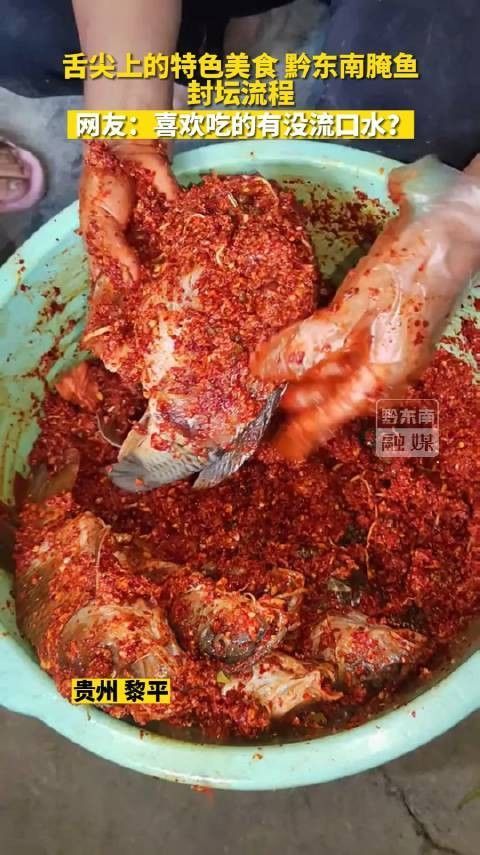 貴州黎平酸魚腌魚，腌制20年不壞，你敢吃嗎_愛(ài)奇藝，貴州省黎平縣的一種傳統(tǒng)美食——酸魚腌魚