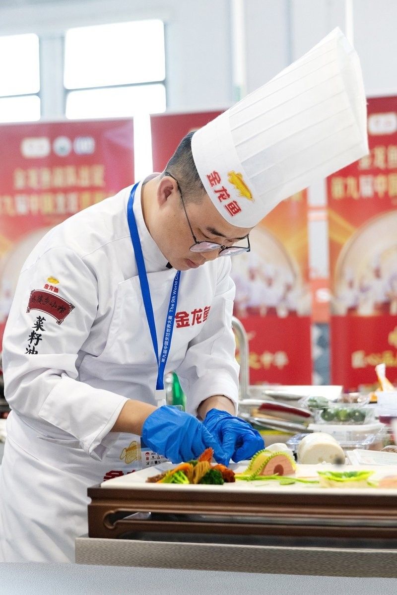 如何簡單快速的養殖新鄭金龍魚，如何簡單快速地養殖新鄭金龍魚