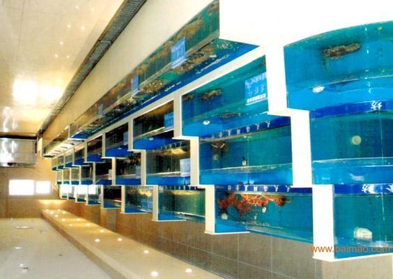 沈陽市和平區成武水族器材商店（沈陽和平區成武水族器材商店）