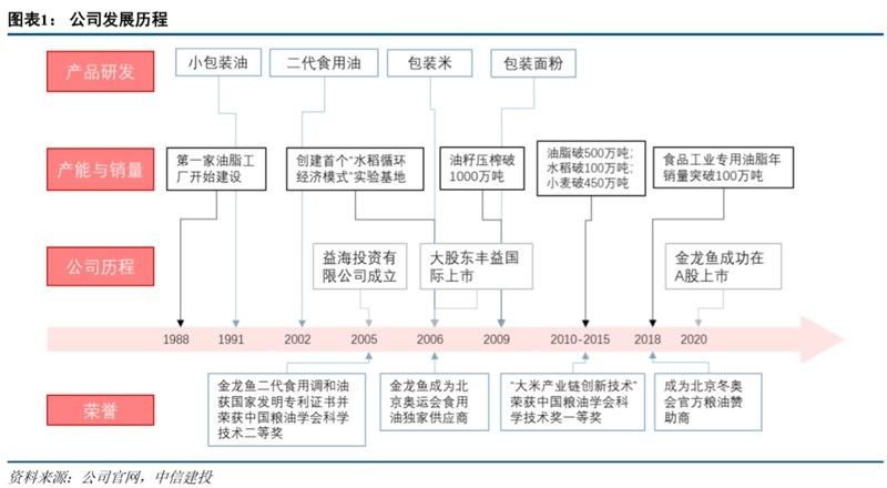 金龍魚屬于什么檔次，華安金龍魚屬于什么檔次