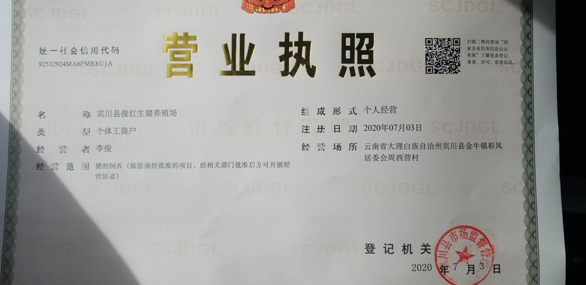 賓川龍魚的市場價(jià)格是多少？，云南賓川龍魚養(yǎng)殖場大理白族自治州賓川縣恩棋養(yǎng)殖場