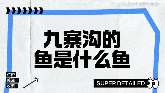 阿壩州的十大好吃名魚，wy唐小萌阿壩州首家冷水魚種場在汶川縣投產阿壩州