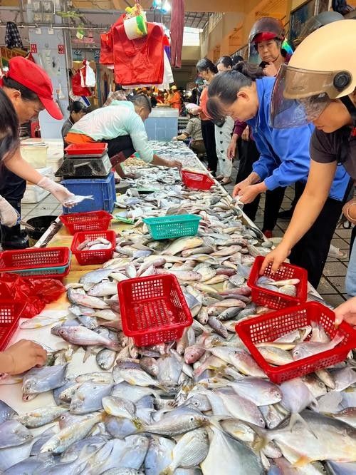 北海龍頂魚多少錢一斤未來大崔2a比豬還大的魚還大，北海龍頂魚多少錢一斤