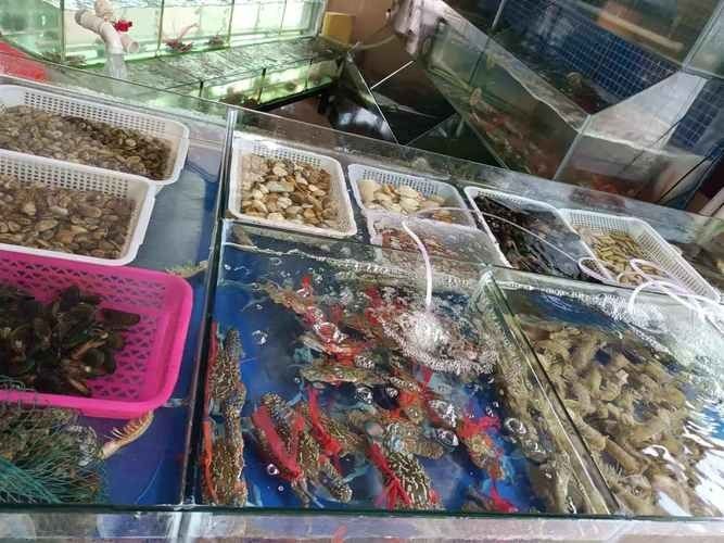 北海龍頂魚多少錢一斤未來大崔2a比豬還大的魚還大，北海龍頂魚多少錢一斤