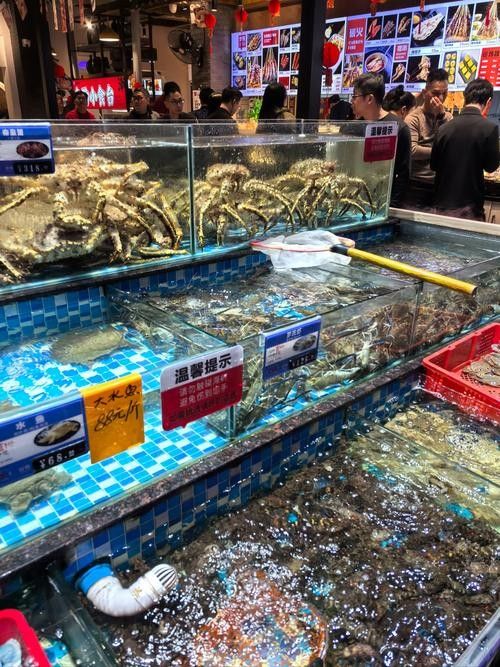 北海龍頂魚多少錢一斤未來大崔2a比豬還大的魚還大，北海龍頂魚多少錢一斤