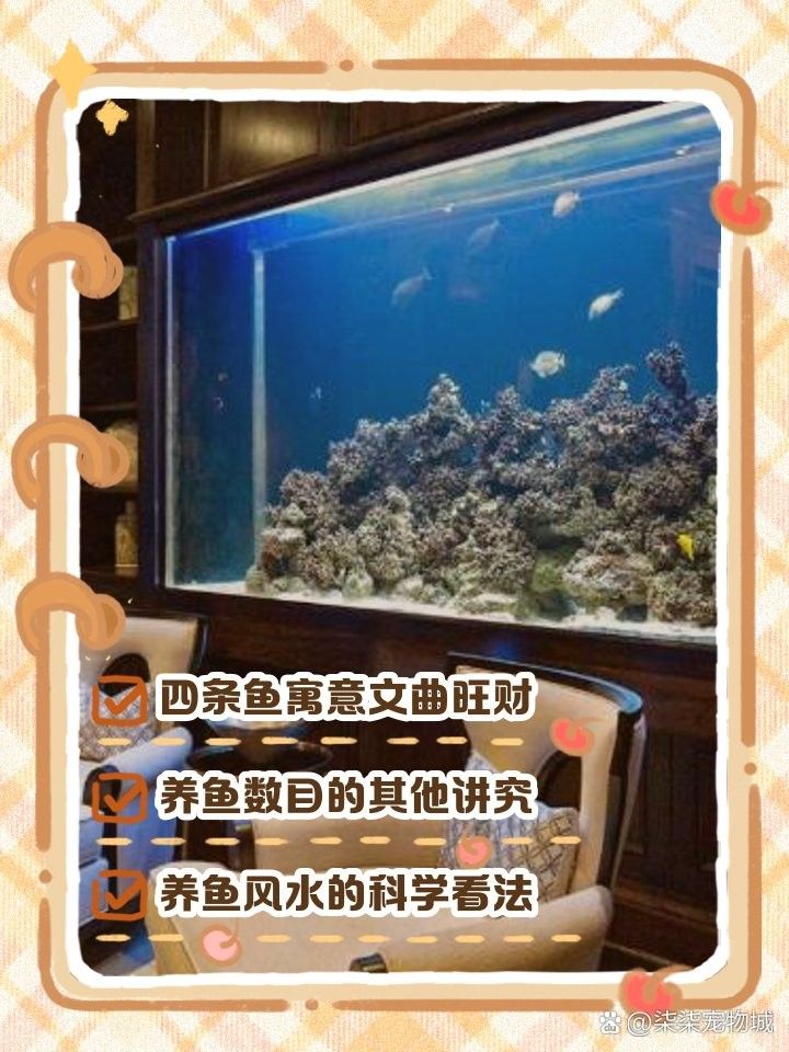 魚缸養(yǎng)4條魚的寓意柒柒柒柒柒柒寵物城，養(yǎng)四條魚在風(fēng)水中是吉利的選擇嗎 魚缸養(yǎng)4條魚的寓意柒柒柒柒柒柒寵物城，養(yǎng)四條魚在風(fēng)水中是吉利的選擇嗎 觀賞魚百科 第1張