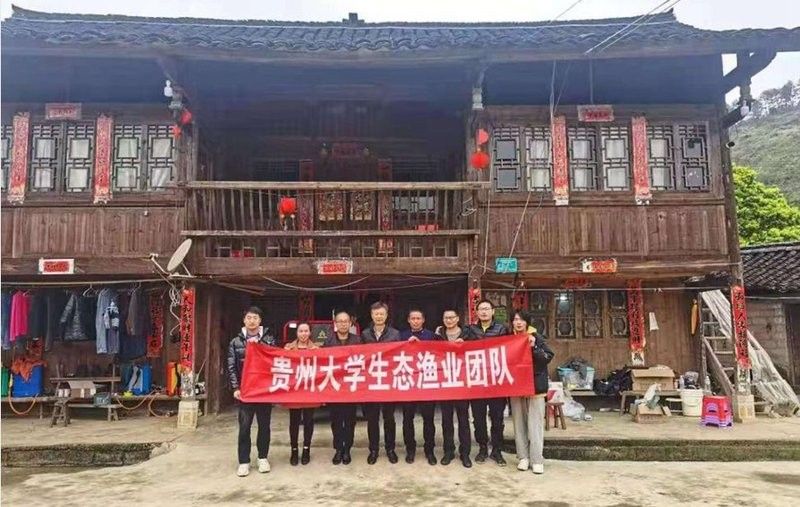 黔南州金龍魚是哪個公司的？，黔南州金龍魚與都勻紅鯉有何關聯？