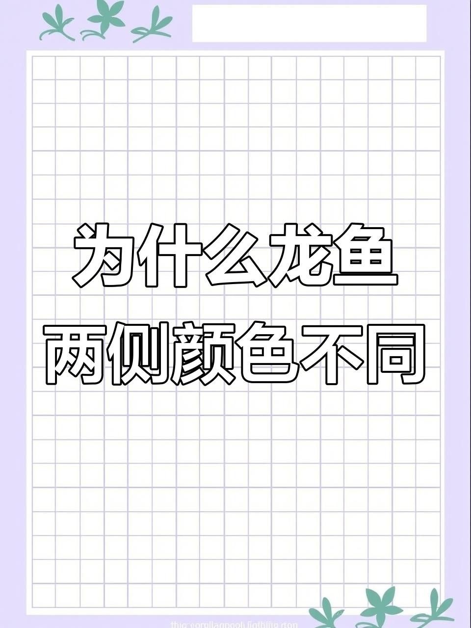 龍魚燈光的使用方法，——龍魚燈光使用方法