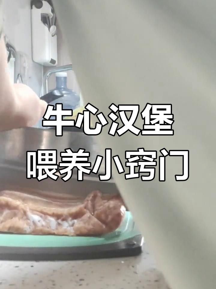 七彩神仙魚牛心漢堡正確投喂方法大揭秘牛心漢堡的正確喂法，七彩神仙魚喂食技巧大揭秘,牛心漢堡的正確投喂方法 七彩神仙魚牛心漢堡正確投喂方法大揭秘牛心漢堡的正確喂法，七彩神仙魚喂食技巧大揭秘,牛心漢堡的正確投喂方法 觀賞魚百科 第4張