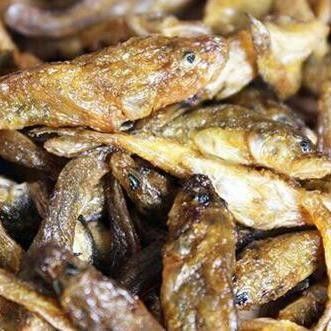 江西上猶特產魚除了石伏魚，還有哪些特色菜品讓人難以忘懷，江西上猶特產魚