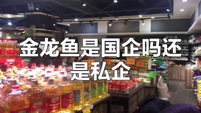 西烏旗金龍魚是國產品牌嗎西烏旗金龍魚是哪個公司的老音客，西烏旗金龍魚是什么檔次東饗尋味聽西烏旗金龍魚有哪些系列