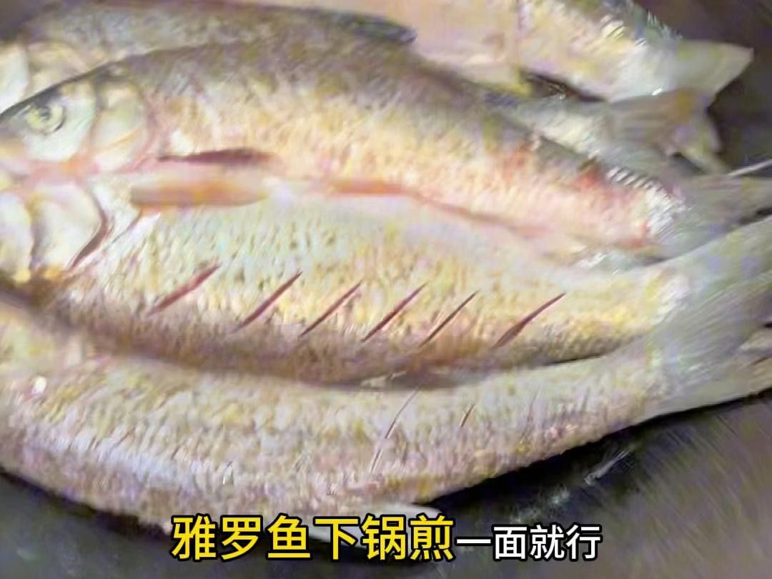 東北雅羅魚的肉質(zhì)鮮美，是當(dāng)?shù)鼐用癫妥郎系摹叭ㄎ辶_”之一，東北雅羅魚的烹飪方式