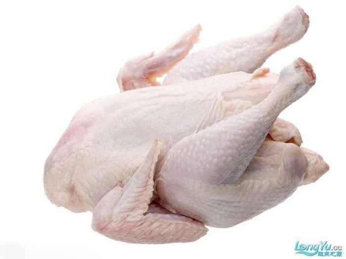 龍魚吃雞胸肉多久一次合適龍魚吃雞胸肉多久合適，龍魚可以吃雞胸肉嗎
