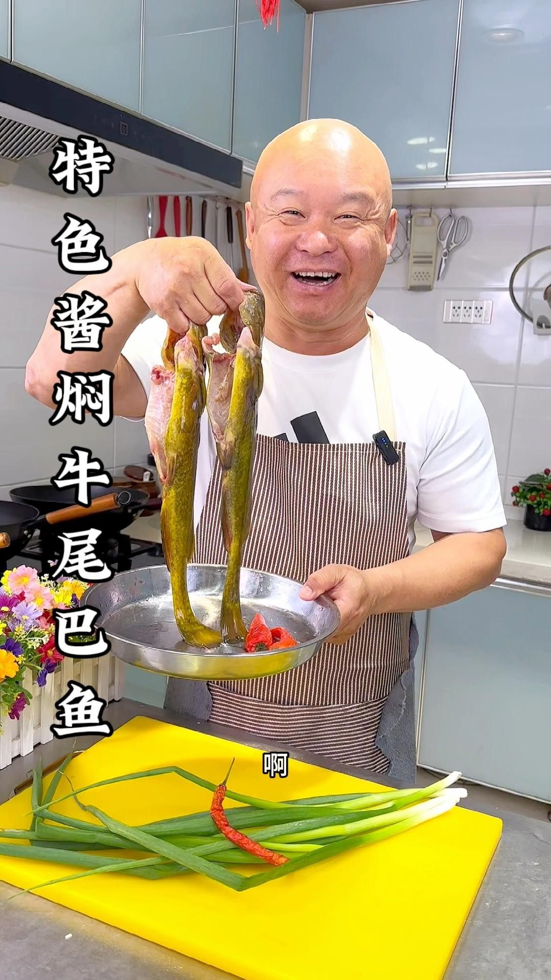 牛魔王魚的飼養方法，熱帶淡水觀賞魚牛魔王gt魚的受歡迎程度介紹
