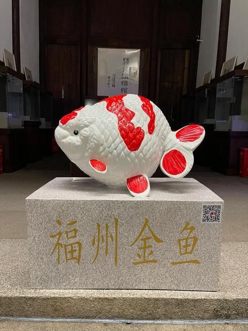 福州金魚品牌，你了解多少？，關于福州金魚的相關信息
