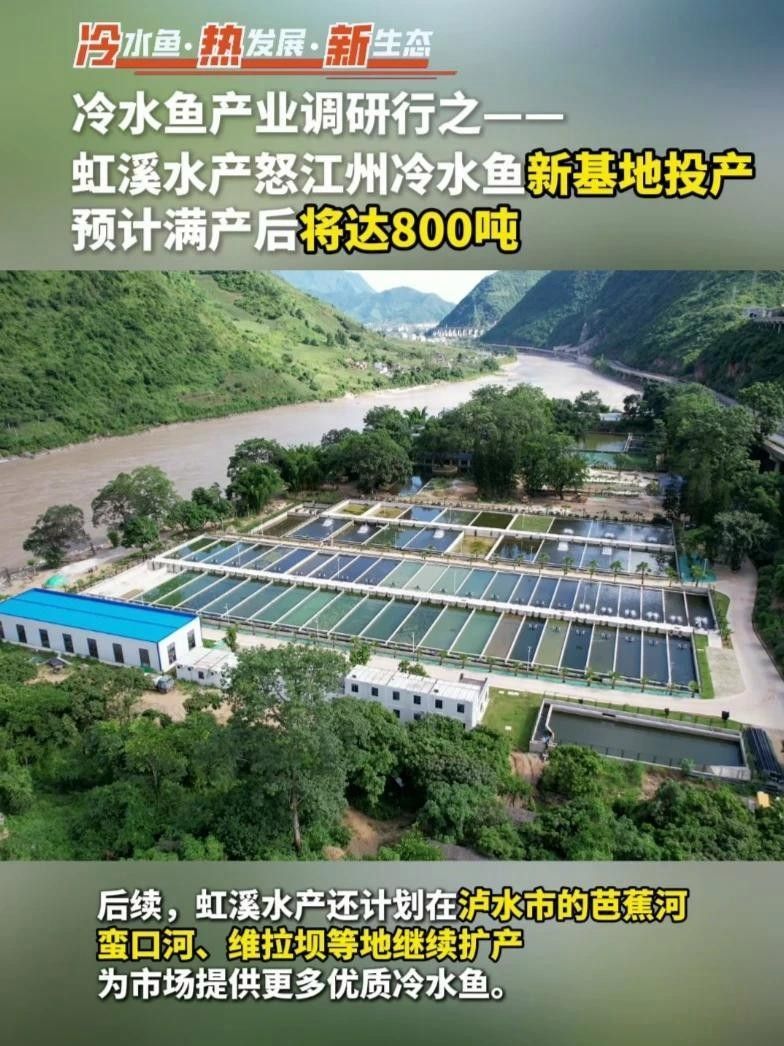 怒江有什么魚囍囍，怒江有哪些著名的釣魚地點？，關于怒江魚類的詳細介紹