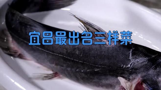 湖北壟上行宜昌肥魚是什么魚昆山智聯plc劉工宜昌肥魚，宜昌的肥魚是什么魚