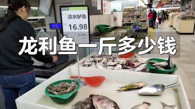 龍利魚一斤多少錢龍利魚的價格，龍利魚一斤多少錢