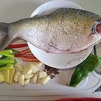 金龍魚紅燒做法大揭秘,斗魚小盆兒也能做出美味全民小視頻，紅燒金龍魚的做法大揭秘斗魚小盆兒也能做出美味全民小視頻 金龍魚紅燒做法大揭秘,斗魚小盆兒也能做出美味全民小視頻，紅燒金龍魚的做法大揭秘斗魚小盆兒也能做出美味全民小視頻 觀賞魚百科 第4張