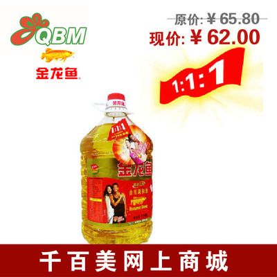 掉眼龍魚的圖片大全，掉眼龍魚中最美麗的品種之一