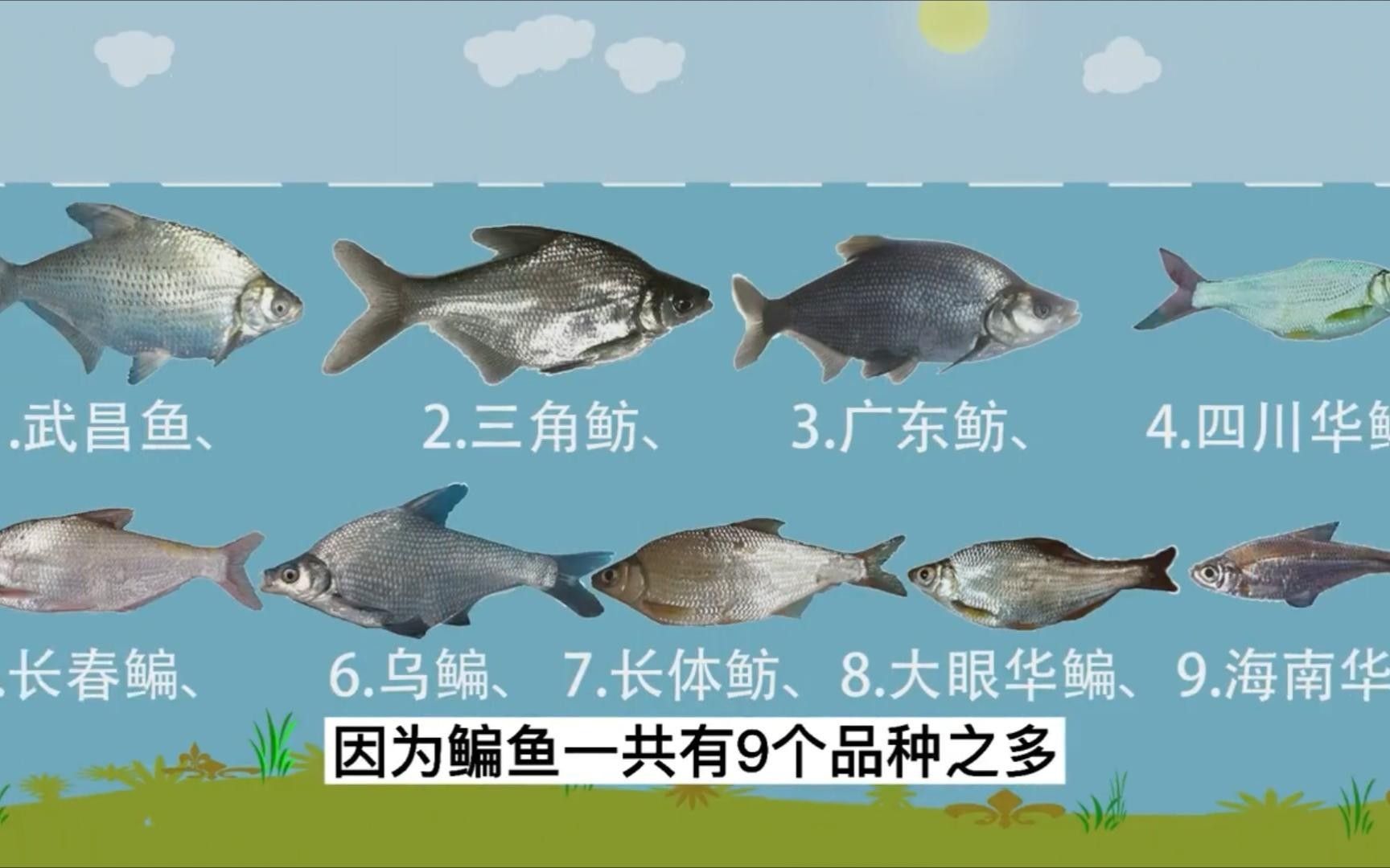 亞甲基藍治療炸鱗的成功率有多高，亞甲基藍對炸鱗病的治療成功率（豎鱗病）的治療成功率
