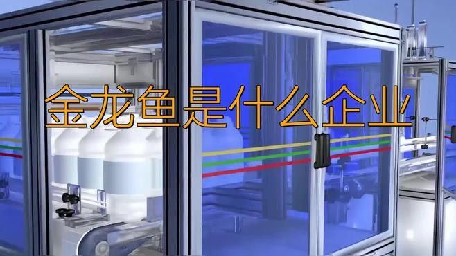 金龍魚屬于什么檔次，登封金龍魚是否為雜牌子？
