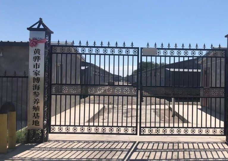 黃驊市龍魚養殖基地，河北滄州黃驊市及周邊部分與水產、觀賞魚相關的企業信息 黃驊市龍魚養殖基地，河北滄州黃驊市及周邊部分與水產、觀賞魚相關的企業信息 觀賞魚百科 第1張