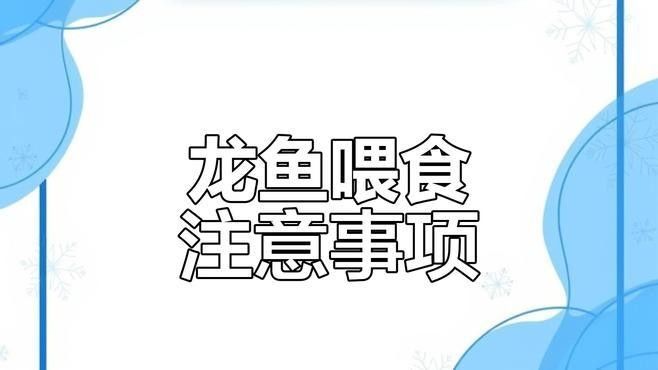 龍魚不吃飼料怎么辦，魚訓食飼料的方法是龍魚飼養中的重要環節，魚軒解壓龍魚飼料技巧