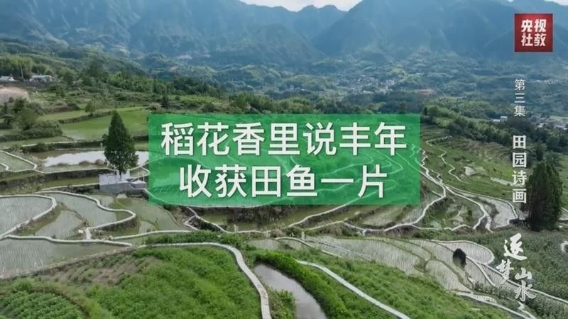 <strong><mark>青田</mark></strong>田魚的市場價格是多少？，<strong><mark>青田</mark></strong>田魚的價格是多少