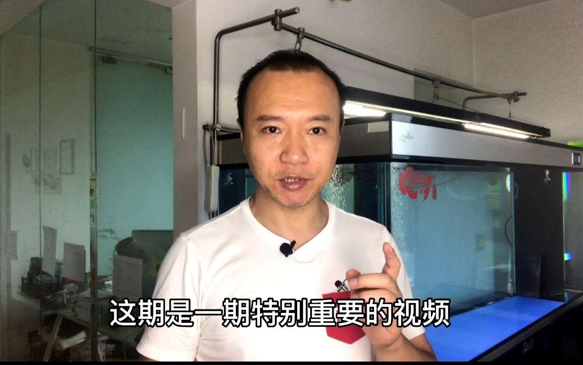 龍魚可以吃魚肉嗎？，龍魚可以吃魚肉嗎廣州龍魚祥龍魚吃魚肉有哪些好處