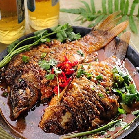 陽朔啤酒魚，舌尖上的漓江風情，舌尖上的漓江風情聚愛喜聊生活 陽朔啤酒魚，舌尖上的漓江風情，舌尖上的漓江風情聚愛喜聊生活 觀賞魚百科 第4張