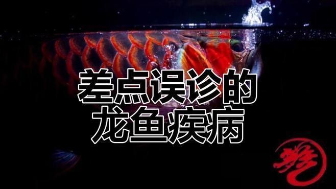 龍魚生病的癥狀及相關圖片資源，龍魚生病時的圖片和癥狀