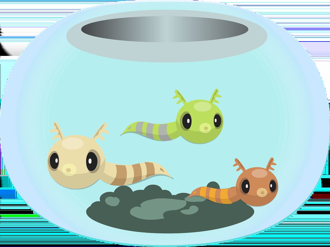 常州哪里有賣魚缸流水的店子，常州哪里有魚缸流水的店子，常州二手魚缸市場 常州哪里有賣魚缸流水的店子，常州哪里有魚缸流水的店子，常州二手魚缸市場 觀賞魚百科 第1張