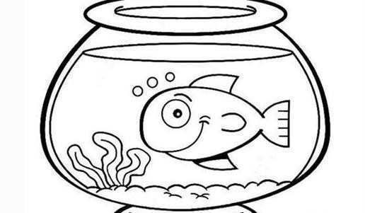 虎皮鸚鵡魚，泰虎價格級別的魚，虎是漂亮，泰虎價格級別？虎是漂亮，還達不到泰虎的價格級別