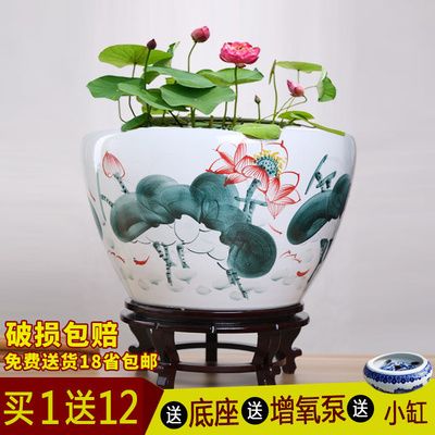 陜西<strong><mark>西安</mark></strong>灞橋區觀賞魚市場（灞橋哪里有狗市），灞橋區觀賞魚市場是一個集觀賞、購買、養殖于一體的綜合性市場