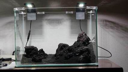 龍魚鱗片潰爛的治療方法，如何治療龍魚鱗片潰爛 龍魚鱗片潰爛的治療方法，如何治療龍魚鱗片潰爛 觀賞魚百科 第1張