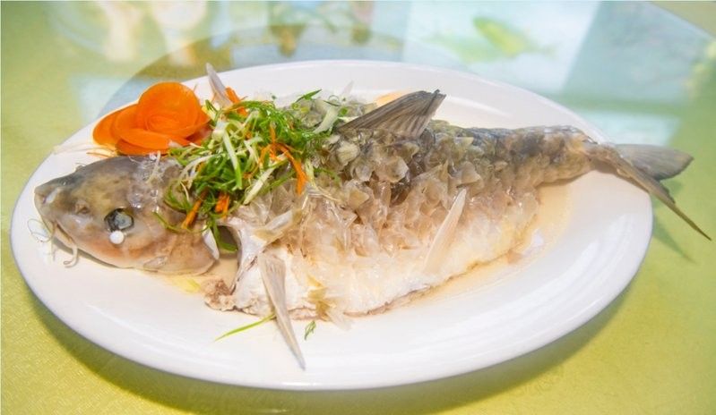 如何區(qū)分從化龍魚和鯧魚，從化龍魚和鯧魚區(qū)別全解析從化龍魚和鯧魚的區(qū)別