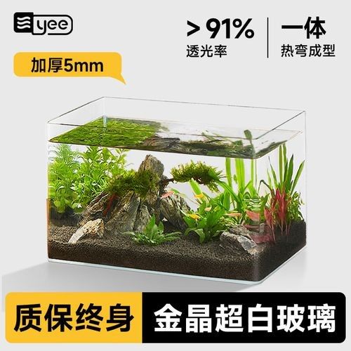 魚缸款式的全面指南，魚缸款式及其特點及其特點，輕奢風格魚缸款式及其特點，八款高顏值斗魚缸推薦