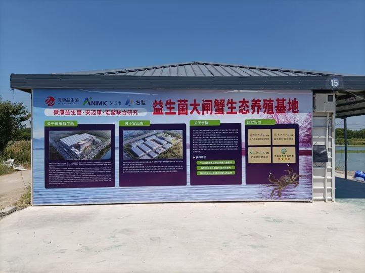 蘇州市吳江區龍魚養殖基地，吳江龍魚養殖技巧