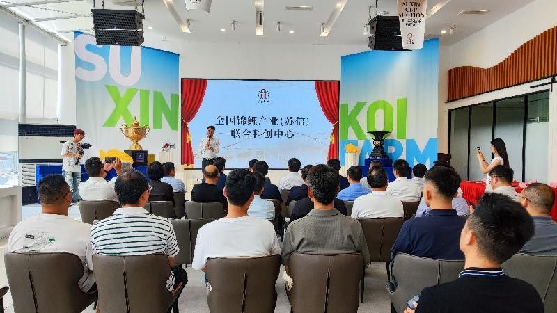 蘇州市吳江區龍魚養殖基地，吳江龍魚養殖技巧